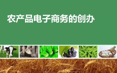 农产品电子商务 理论与实践
